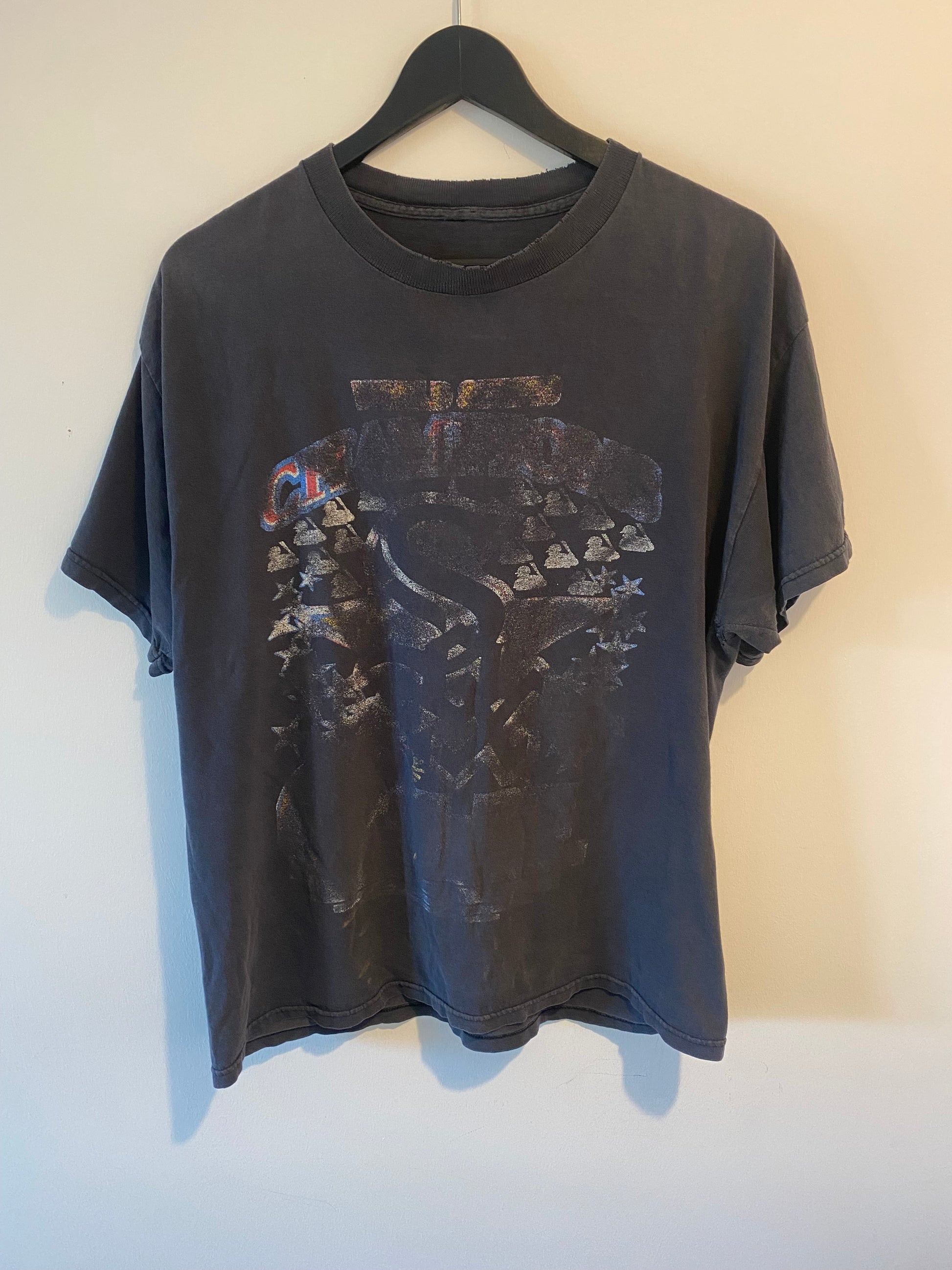 Faded World Champions Vintage Tee